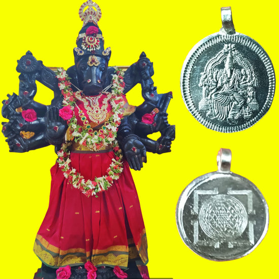 SHYAMALA NAVARATRI VARAHI PANCHAMI HOMAM 14.2.24