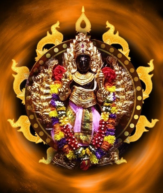 Sudarshan Jayanti 28.6.23 | MAHA SUDARSHANA HOMAM (Read Description)