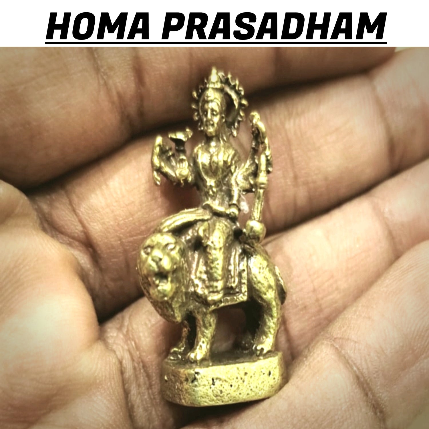 KRITTIKA AMAVASYA – CHANDI NAVAKSHARI HOMAM ON 19th NOVEMBER 2025