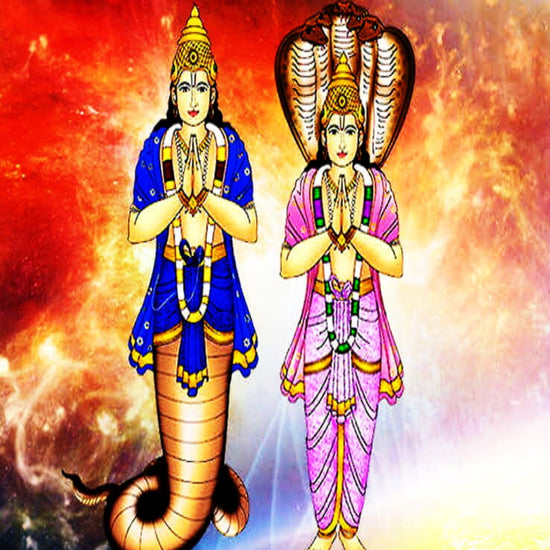 21.3.2022 RAHU KETU PEYARCHI HOMAM