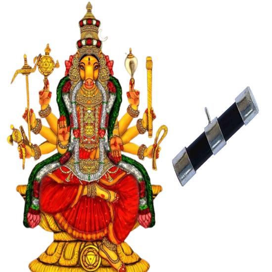 VARAHI HOMAM NAGA POOJAI RATHI MANMATHA POOJAI 26.1.23